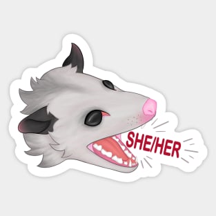 Pronoun opossum she/her Sticker